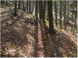 Kraljev hrib - Gradišče (Velika planina)